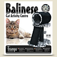 Balinese - Activity Centre